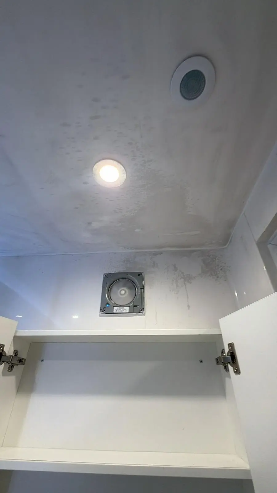 Black mould spreading across a bathroom ceiling in student accommodation before a professional deep clean